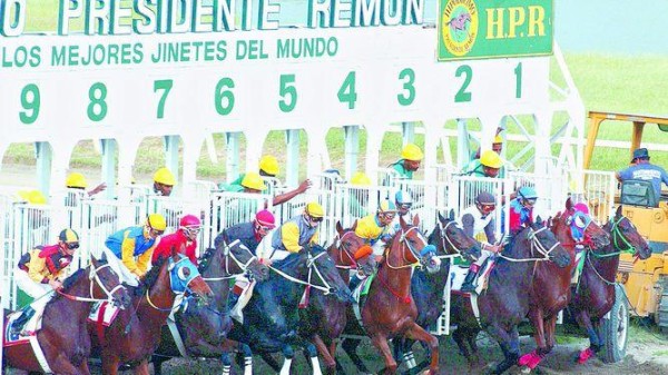 Un total de ocho balanceadas carreras se celebrarán en la cartilla hípica. Un total de ocho balanceadas carreras se celebrarán en la cartilla hípica.