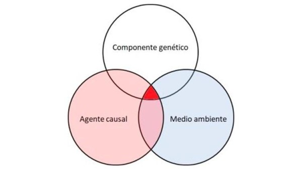Gráfica de la cadena de contagio. Gráfica de la cadena de contagio.