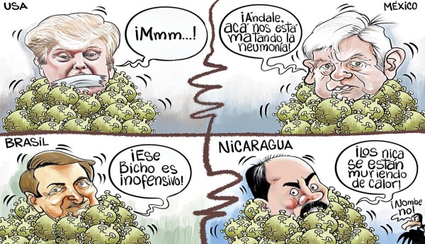 La Opinión Gráfica del 31 de mayo de 2020 La Opinión Gráfica del 31 de mayo de 2020