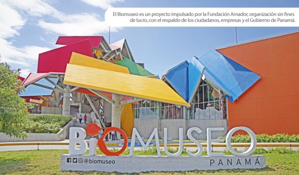 En total, el Biomuseo cuenta con 432 paneles solares que generan 156,000 kWh al año. En total, el Biomuseo cuenta con 432 paneles solares que generan 156,000 kWh al año.