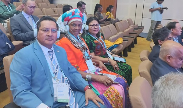 Integrantes de la delegación de Panamá en la Primera Cumbre Mundial de la OMS sobre medicina tradicional. Integrantes de la delegación de Panamá en la Primera Cumbre Mundial de la OMS sobre medicina tradicional.