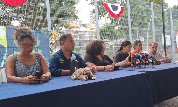 Los grupos organizados en rechazo a la Ley No. 406 exigen que sea la Corte Suprema de Justicia sea la que falle. Los grupos organizados en rechazo a la Ley No. 406 exigen que sea la Corte Suprema de Justicia sea la que falle.