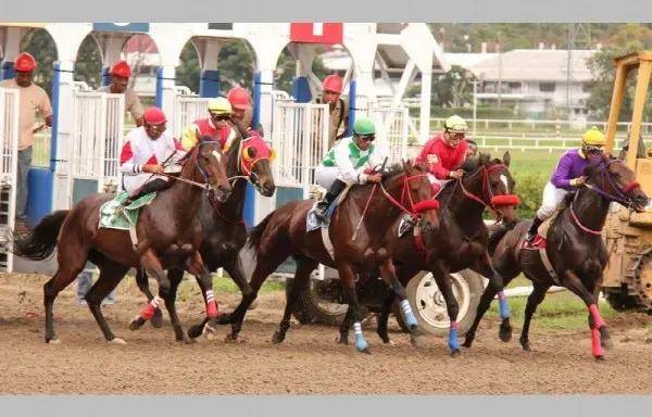 Una velada diferente presentará este domingo el Hipódromo Presidente Remón. Una velada diferente presentará este domingo el Hipódromo Presidente Remón.