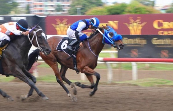 La Colorada ‘Xtina’ será la carta brava a batir en el Clásico Ricardo Lau Yunsan. La Colorada ‘Xtina’ será la carta brava a batir en el Clásico Ricardo Lau Yunsan.