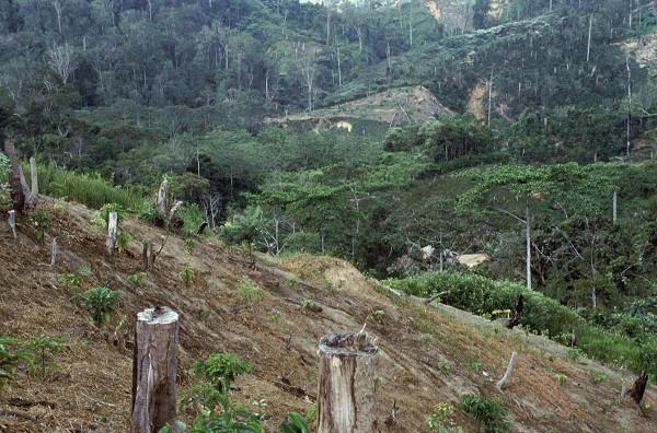 La deforestación contribuye al cambio climático. La deforestación contribuye al cambio climático.