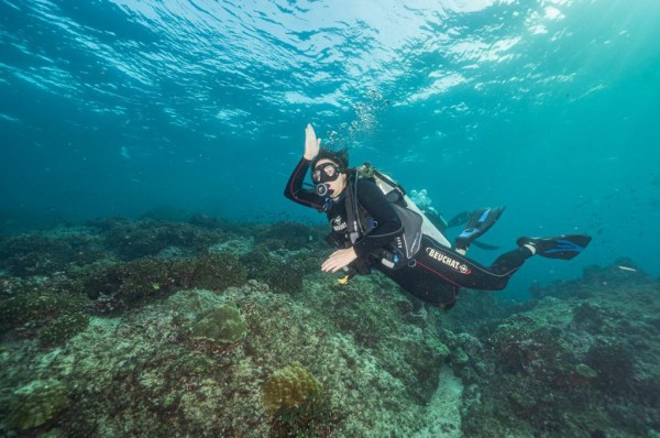 En junio de 2021, Panamá logró la protección del 30% de su superficie marina. En junio de 2021, Panamá logró la protección del 30% de su superficie marina.
