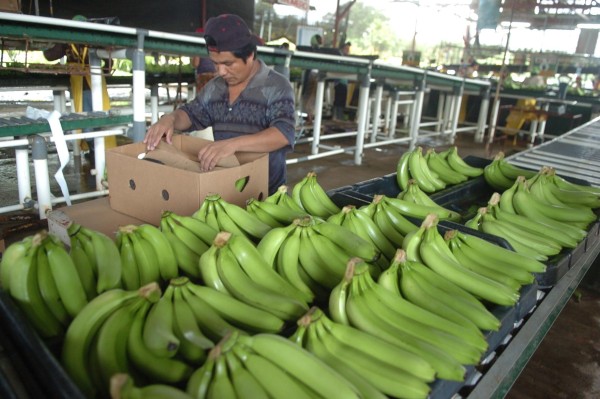 Bananeras Bananeras