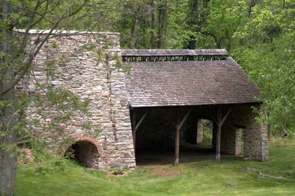Emplazamiento de Catoctin en el Parque Estatal de Cunningham Falls, Maryland. Crédito: Aneta Kaluzna. Imagen facilitada por la Facultad de Medicina de Harvard. Emplazamiento de Catoctin en el Parque Estatal de Cunningham Falls, Maryland. Crédito: Aneta Kaluzna. Imagen facilitada por la Facultad de Medicina de Harvard.