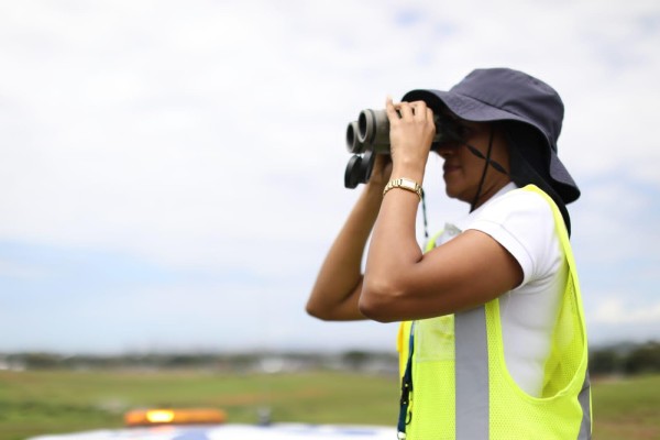 , el desplazamiento de las aves durante la migración se observa en una fase lumínica de 8:00 a.m. a 11:00 a.m. , el desplazamiento de las aves durante la migración se observa en una fase lumínica de 8:00 a.m. a 11:00 a.m.