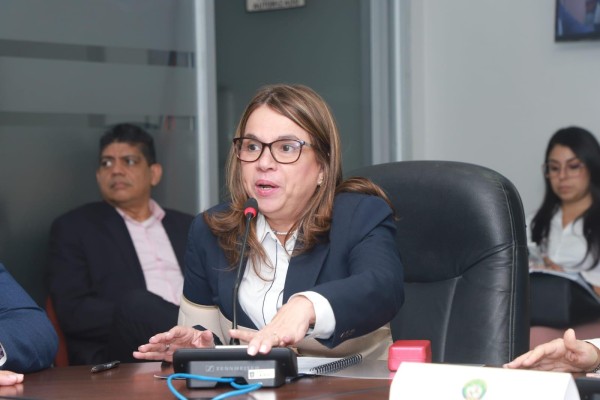 Del referido presupuesto, se necesitan generar 53 posiciones de educadores para la estructura de personal contingente. Del referido presupuesto, se necesitan generar 53 posiciones de educadores para la estructura de personal contingente.