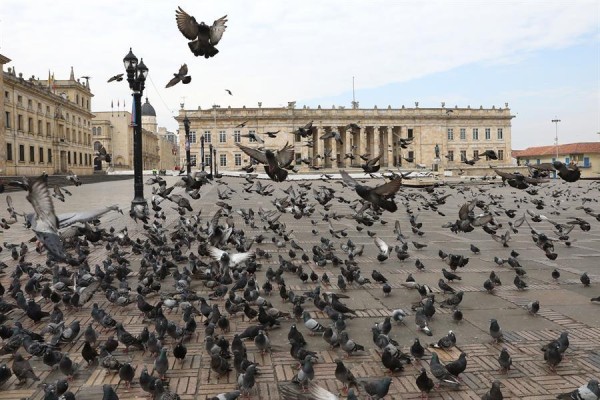 Palomas y pocas personas se observan este miércoles (25 de marzo) en la Plaza de Bolívar de Bogotá (Colombia). Palomas y pocas personas se observan este miércoles (25 de marzo) en la Plaza de Bolívar de Bogotá (Colombia).