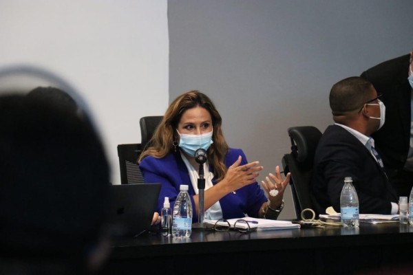 La Administradora de la Arap, Flor Torrijos, durante el 'histórico' consenso con los pescadores que permitirá llevar a la Asamblea las discusión del proyecto que actualiza la ley de pesca en el país. La Administradora de la Arap, Flor Torrijos, durante el 'histórico' consenso con los pescadores que permitirá llevar a la Asamblea las discusión del proyecto que actualiza la ley de pesca en el país.