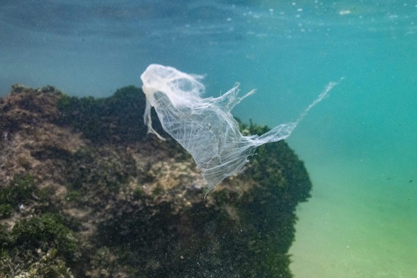 Los océanos producen mucho del oxígeno que respiramos, limitan el cambio climático absorbiendo CO2 y albergan ricas zonas de biodiversidad, Los océanos producen mucho del oxígeno que respiramos, limitan el cambio climático absorbiendo CO2 y albergan ricas zonas de biodiversidad,