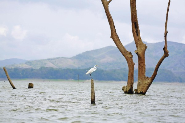 Desalinización del agua en Panamá Desalinización del agua en Panamá