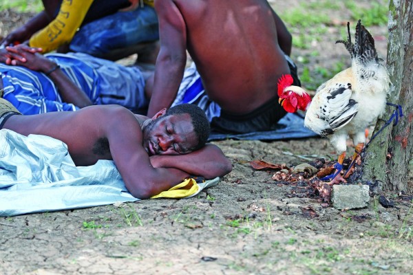 Migrantes persiguen sus sueños en medio de la mortífera pandemia de la covid-19 Migrantes persiguen sus sueños en medio de la mortífera pandemia de la covid-19