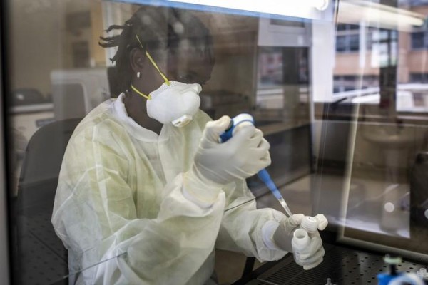 Según el sitio web de la OMS se encuentran ocho vacunas experimentales para pruebas en humanos infectados. Según el sitio web de la OMS se encuentran ocho vacunas experimentales para pruebas en humanos infectados.