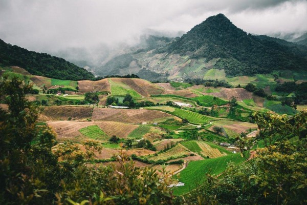 El distrito de Tierras Altas en la provincia de Chiriquí, es símbolo de trabajo y esfuerzo cuyo resultado es la producción de uno de los mejores cafés de especialidad, en Panamá. El distrito de Tierras Altas en la provincia de Chiriquí, es símbolo de trabajo y esfuerzo cuyo resultado es la producción de uno de los mejores cafés de especialidad, en Panamá.