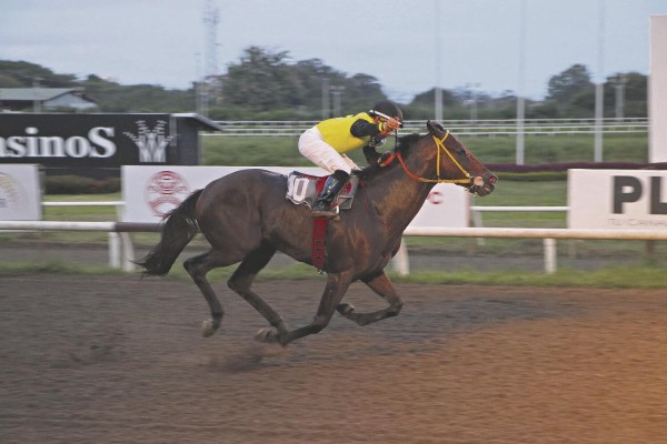 El estadounidense 'California Music' es la carta panameña para la Copa Invitacional del Caribe del 8 de diciembre en Gulfstream Park. El estadounidense 'California Music' es la carta panameña para la Copa Invitacional del Caribe del 8 de diciembre en Gulfstream Park.