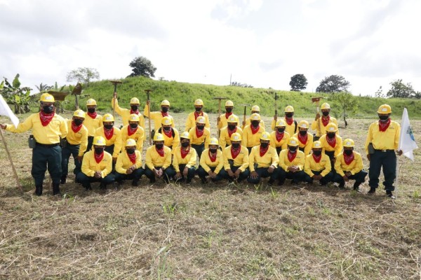 Unas 276 personas que conforman la brigadista de voluntarios forestales, en tanto, a nivel institucional hay 11 brigadas regionales. Unas 276 personas que conforman la brigadista de voluntarios forestales, en tanto, a nivel institucional hay 11 brigadas regionales.