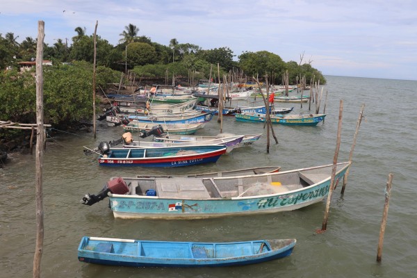 Los humedales de la bahía de Parita. Los humedales de la bahía de Parita.