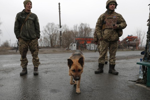 Imagen de soldados con un perro en Ucrania. Imagen de soldados con un perro en Ucrania.