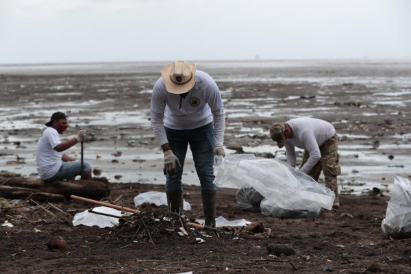 Gran cantidad de la basura que se desecha en nuestros hogares y en los vertederos va a parar a los rios y arrastrada por sus corrientes hasta el mar, impactando sus ecosistemas costeros. Gran cantidad de la basura que se desecha en nuestros hogares y en los vertederos va a parar a los rios y arrastrada por sus corrientes hasta el mar, impactando sus ecosistemas costeros.