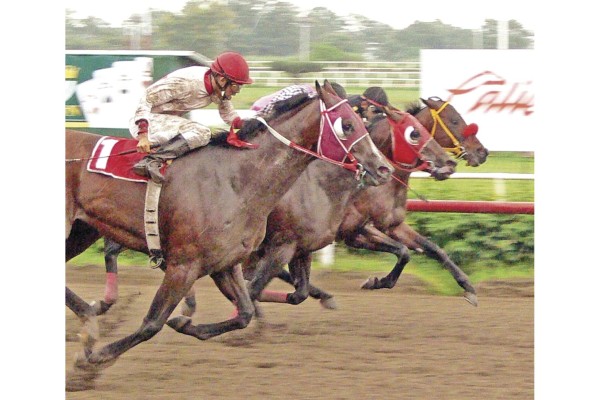 Los eventos de la cartilla dominical comenzarán a las 2:10 pm, con ocho carreras en la programación. Los eventos de la cartilla dominical comenzarán a las 2:10 pm, con ocho carreras en la programación.