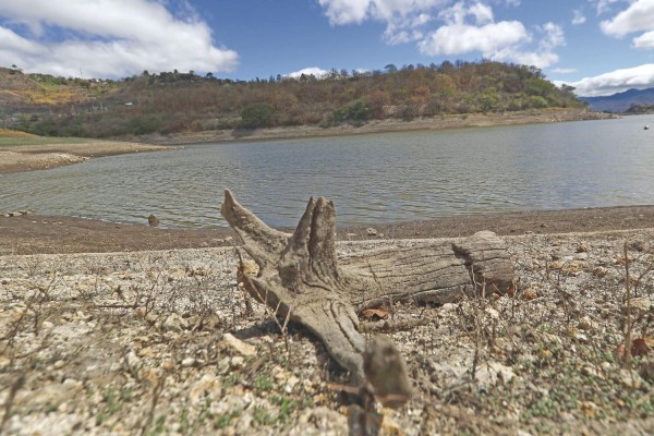 Fotografía de archivo fechada el 2 de marzo de 2020 que muestra una zona seca adyacente a la represa Los Laureles (Honduras). Fotografía de archivo fechada el 2 de marzo de 2020 que muestra una zona seca adyacente a la represa Los Laureles (Honduras).