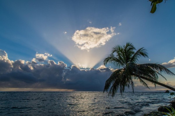 Los parques nacionales poseen paradisiacas playas donde se puede disfrutar del sol, la arena y espectaculares atardeceres. Los parques nacionales poseen paradisiacas playas donde se puede disfrutar del sol, la arena y espectaculares atardeceres.