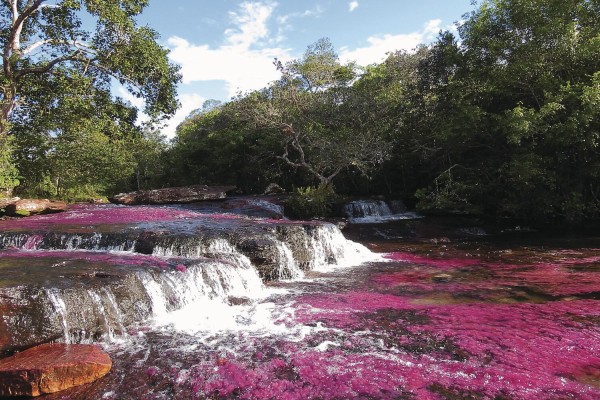 A las cascadas el Arco Iris, Las Delicias y del Amor, consideradas como santuarios de vida natural, se realizan caminatas ecológicas. A las cascadas el Arco Iris, Las Delicias y del Amor, consideradas como santuarios de vida natural, se realizan caminatas ecológicas.
