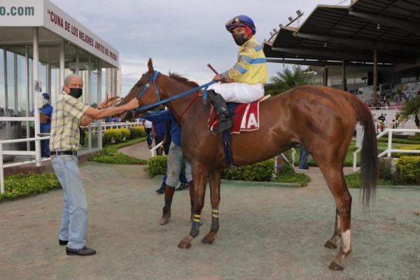 La alazana Brunilda saldrá en busca del Triunfo en el Clásico Sociedad de Duelos de Caballos esta tarde. La alazana Brunilda saldrá en busca del Triunfo en el Clásico Sociedad de Duelos de Caballos esta tarde.
