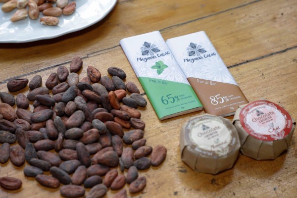 El cacao panameño sigue demostrando su calidad a nivel internacional. El cacao panameño sigue demostrando su calidad a nivel internacional.