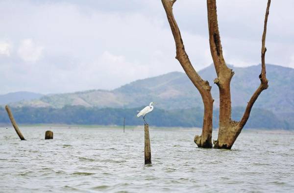 Desalinización del agua en Panamá Desalinización del agua en Panamá
