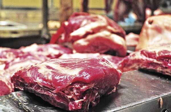 El Mida buscará repartir más de 1,000 vacas en 2020 El Mida buscará repartir más de 1,000 vacas en 2020