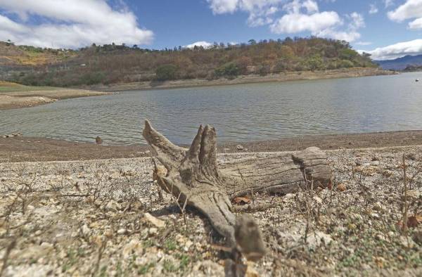 Fotografía de archivo fechada el 2 de marzo de 2020 que muestra una zona seca adyacente a la represa Los Laureles (Honduras). Fotografía de archivo fechada el 2 de marzo de 2020 que muestra una zona seca adyacente a la represa Los Laureles (Honduras).