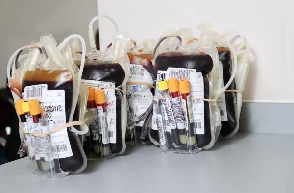El centro comenzará a funcionar a partir de las 8:00 de la mañana con los primeros pacientes. El centro comenzará a funcionar a partir de las 8:00 de la mañana con los primeros pacientes.