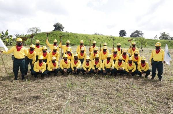 Unas 276 personas que conforman la brigadista de voluntarios forestales, en tanto, a nivel institucional hay 11 brigadas regionales. Unas 276 personas que conforman la brigadista de voluntarios forestales, en tanto, a nivel institucional hay 11 brigadas regionales.