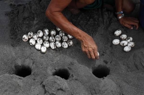 Unas tortugas dan alas a mujeres indígenas abandonadas de la Amazonía peruana Unas tortugas dan alas a mujeres indígenas abandonadas de la Amazonía peruana