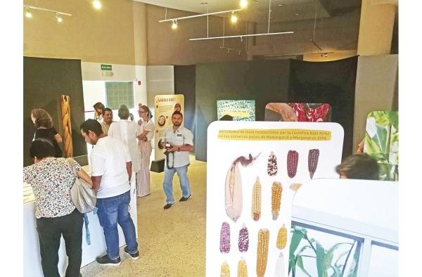 Público en la inauguración de la exhibición. Público en la inauguración de la exhibición.