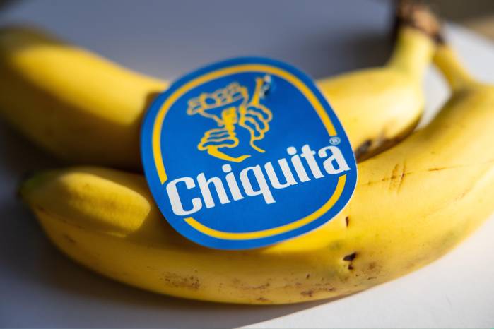 Chiquita mantiene en Bocas del Toro sus principales fincas de producción de banano. Chiquita mantiene en Bocas del Toro sus principales fincas de producción de banano.