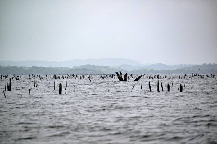 El lago Gatún es fundamental para el abastecimiento de agua a la población. El lago Gatún es fundamental para el abastecimiento de agua a la población.