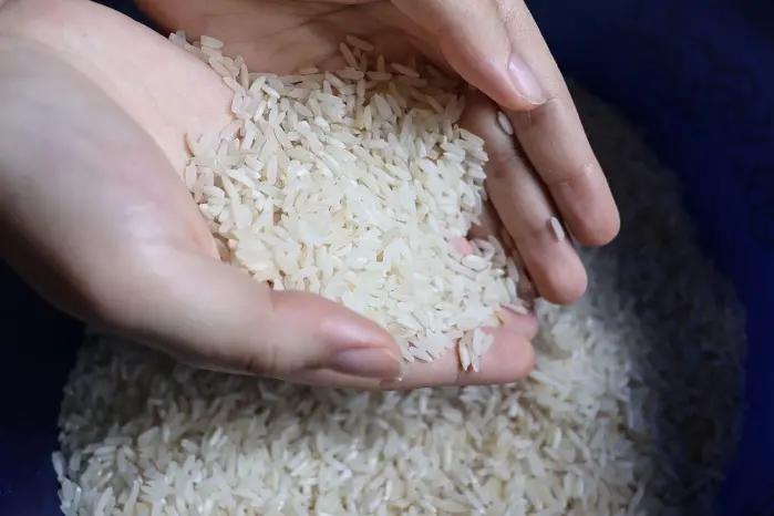 El vocero arrocero Omar Spiegel denunció que recientes importaciones de arroz desde Uruguay violan el procedimiento legal al no pasar por la cadena agroalimentaria, afectando al mercado nacional en plena cosecha. El vocero arrocero Omar Spiegel denunció que recientes importaciones de arroz desde Uruguay violan el procedimiento legal al no pasar por la cadena agroalimentaria, afectando al mercado nacional en plena cosecha.