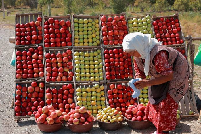 El hambre significa falta de las defensas más importantes para enfrentar problemas de extrema gravedad como las epidemias, la desnutrición en sus distintas formas. El hambre significa falta de las defensas más importantes para enfrentar problemas de extrema gravedad como las epidemias, la desnutrición en sus distintas formas.