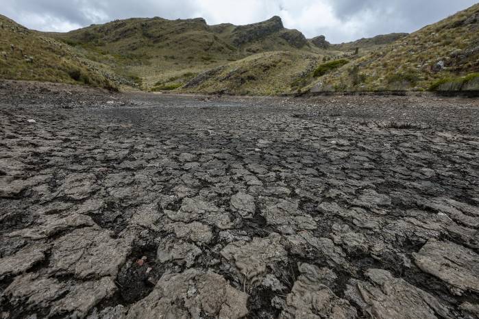 El patrón climático de El Niño ocurre típicamente cada dos a siete años y suele durar de nueve a doce meses. El patrón climático de El Niño ocurre típicamente cada dos a siete años y suele durar de nueve a doce meses.