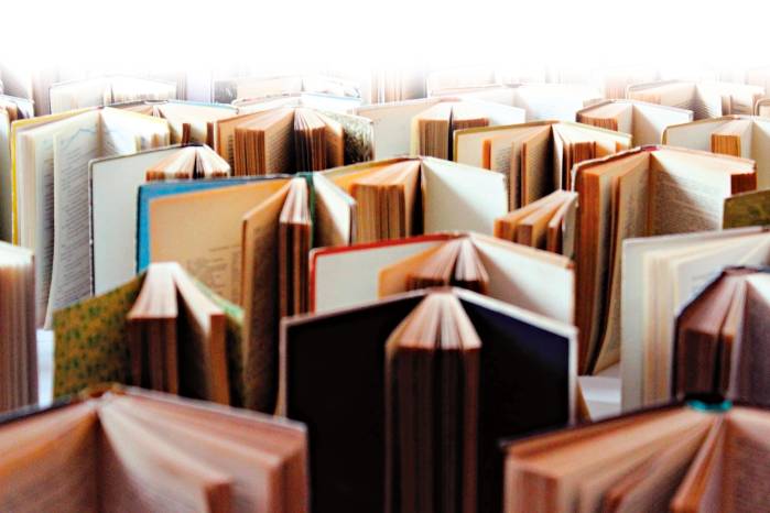 El buhonero cultural encuentra la satisfacción de algunos lectores que elogian por ser diferente y que motivan a no descansar en esta labor de las letras. El buhonero cultural encuentra la satisfacción de algunos lectores que elogian por ser diferente y que motivan a no descansar en esta labor de las letras.