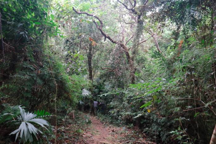 La extensión total del Parque es de 4,691 hectáreas. La extensión total del Parque es de 4,691 hectáreas.