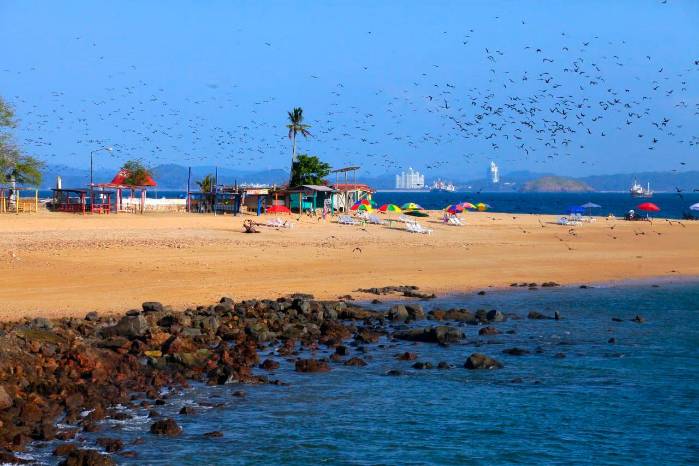 A Taboga también se le conoce con el calificativo popular de ‘Isla de las Flores’, por su exuberante vegetación tropical, florecida casi todo el año. A Taboga también se le conoce con el calificativo popular de ‘Isla de las Flores’, por su exuberante vegetación tropical, florecida casi todo el año.