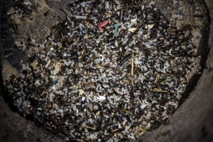Detalle de los pellets de plástico recogidos por los operarios contratados por Tragsa en la playa de Seiras (Porto do Son), A Coruña, después de que el buque 'Toconao', con bandera de Liberia, perdiera 26.250 kilos de estas diminutas bolitas frente a las costas portuguesas. Detalle de los pellets de plástico recogidos por los operarios contratados por Tragsa en la playa de Seiras (Porto do Son), A Coruña, después de que el buque 'Toconao', con bandera de Liberia, perdiera 26.250 kilos de estas diminutas bolitas frente a las costas portuguesas.