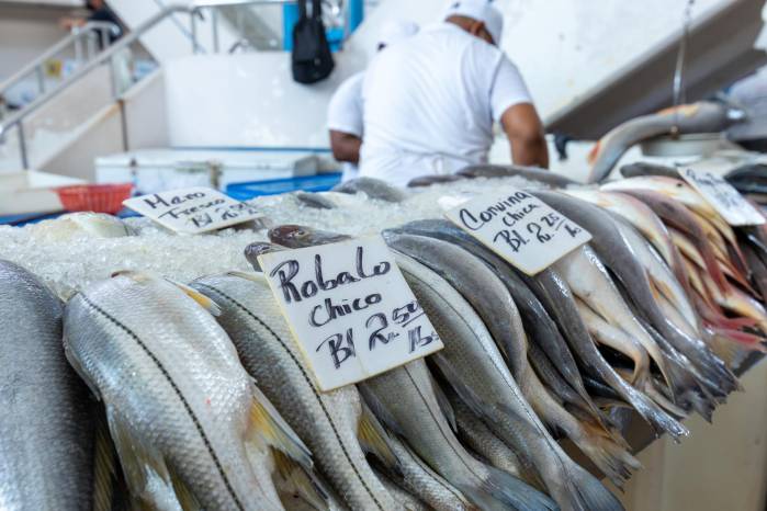 Las giras a los mercados de pueblos y ciudades se han convertido en un gran atractivo turístico. Las giras a los mercados de pueblos y ciudades se han convertido en un gran atractivo turístico.
