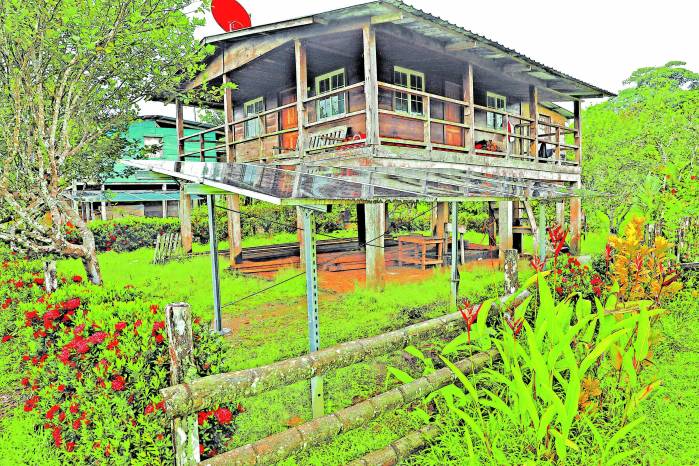 Los paneles solares comparten espacio con las flores de los jardines. Los paneles solares comparten espacio con las flores de los jardines.